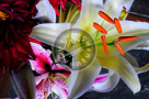 Asian_Lily_ Floral_Arrangement_ 002_KTB0819