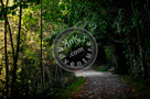 Bench_On_Path_KTB0623-Edit