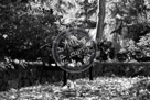 Bench_With_Leaves_Black_N_White _KMT6993