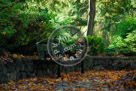 Bench_With_Leaves _KMT6993