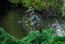 Blue_Heron_007_KMT6987