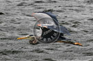Blue_Heron_Flight_005_KTB2442