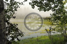 Chilcotin_Anahim_Lake_Fog 
