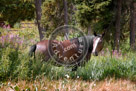Chilcotin_Horse_01