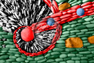 Cosmic_Graphic_Art_04_KMT7436