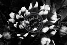 Dahlia_003_Black_N_White_KMT4676