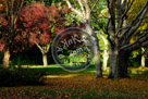 Fall_Colours_003_KMT7012