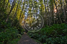 Fall_Scene_Galloping_Goose_003