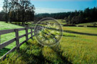 Meadow_KMT7109