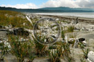North_Beach_Haida_Gwai