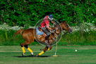 Polo_001_KMT3832