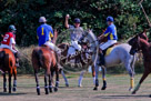 Polo_007_KMT6338