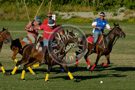 Polo_010_DSC_0014