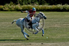Polo_012_DSC_0709