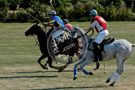 Polo_013_DSC_0722