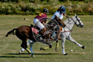 Polo_014_DSC_0883
