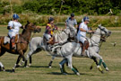 Polo_015_DSC_0944