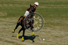 Polo_016_DSC_0965