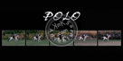 Polo_Pan