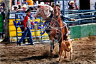 Rodeo
