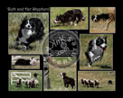 Ruth_Story_Poster_02