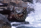 Sea_Lion_on_The_Rocks_02
