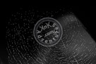 Spider_Web_Black_N_White_KMT6837