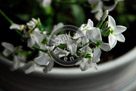 Stock_03_KMT4644