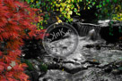 Stream_KMT7351