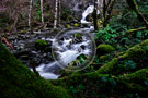 Todd_Creek_002