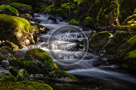 Todd_Creek_003