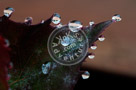 Water_Droplets_002_KTB0700