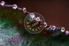 Water_Droplets_003_KTB0707